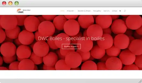 dwcboilies.nl