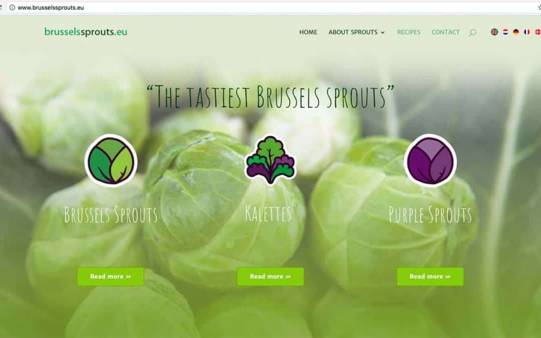 brusselssprouts.eu